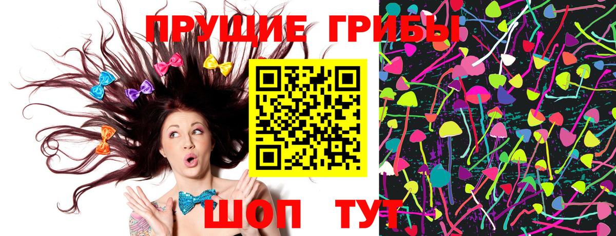 Псилоцибиновые грибы мицелий Сосновоборск