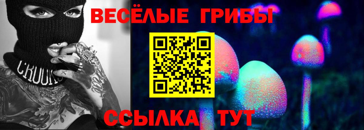 Псилоцибиновые грибы ЛСД  Галлюциногенные грибы Cubensis  Сосновоборск  Вход с VPN 